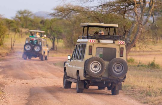 Jeep Tours in Israel2